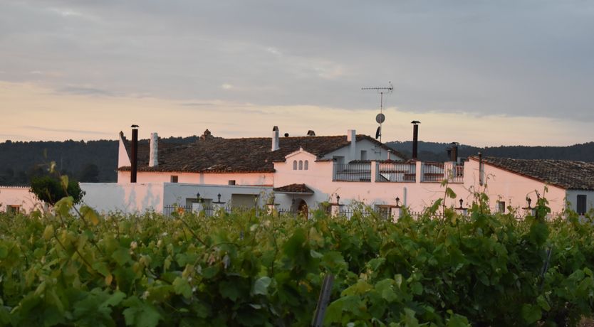 Photo of Food For The Soul