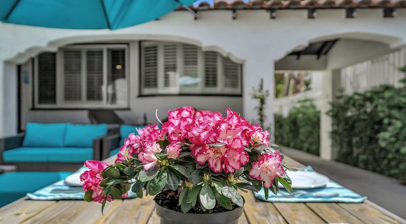 Photo of The Jasmine Light