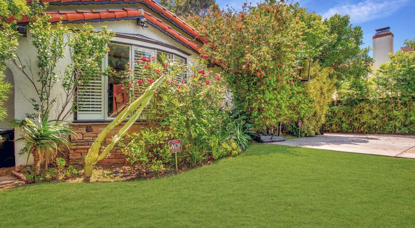 Photo of The Jasmine Light