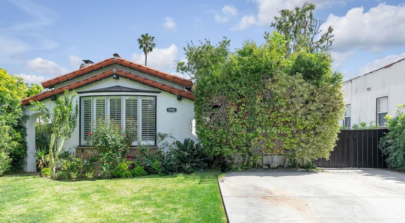 Photo of The Jasmine Light