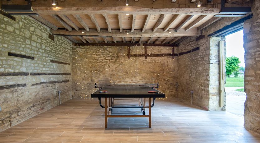 Photo of It’s for the Birds