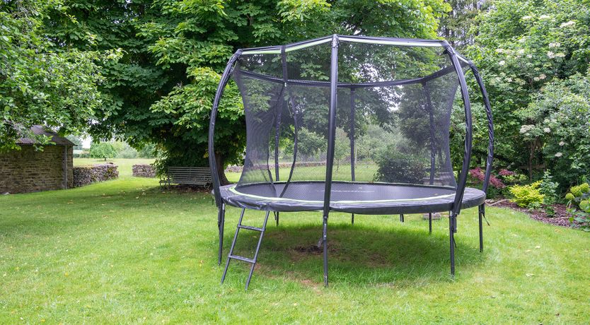 Photo of It’s for the Birds