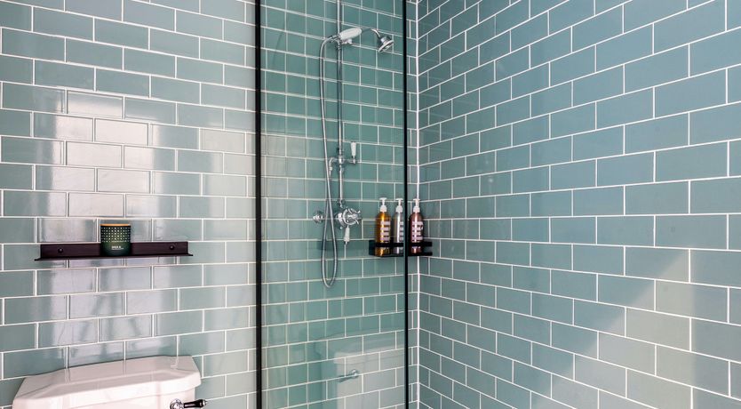 Photo of Wise As An Owl