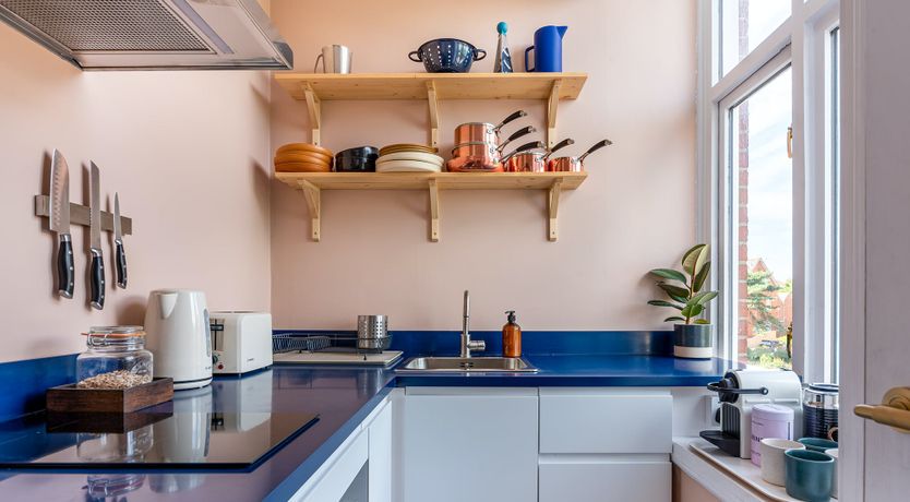 Photo of Wise As An Owl