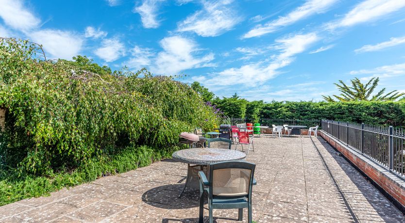 Photo of Wise As An Owl