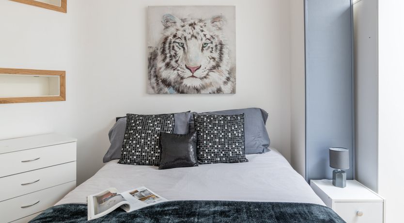 Photo of Bloom of the Bay