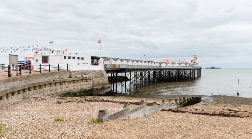 Photo of Bloom of the Bay