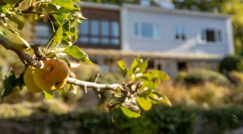 Photo of Midcentury in Somerset