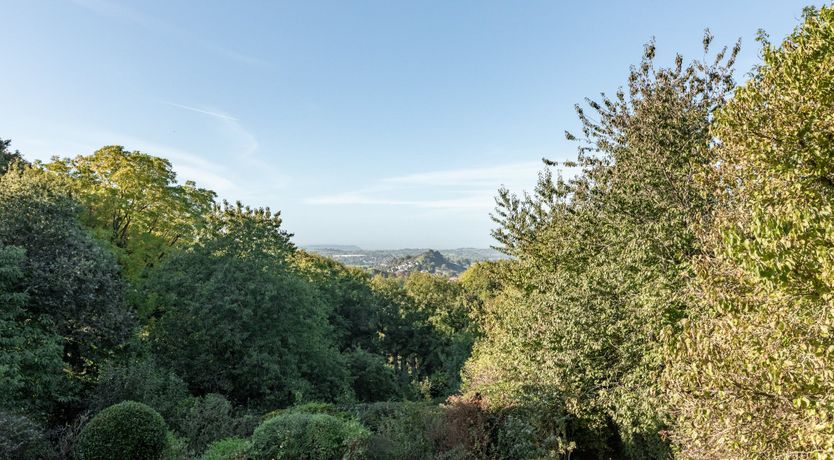 Photo of Midcentury in Somerset