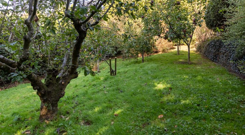 Photo of Midcentury in Somerset