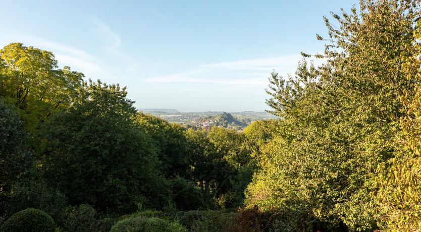 Photo of Midcentury in Somerset