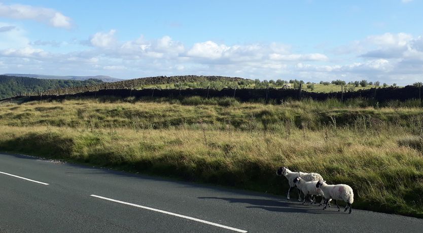 Photo of Willow Cottage