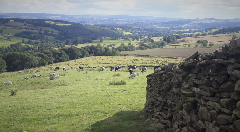 Photo of Willow Cottage
