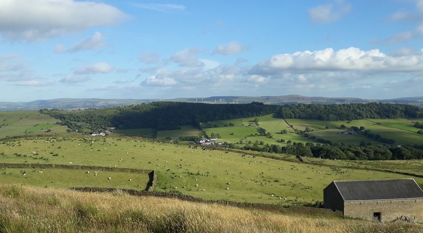 Photo of Willow Cottage