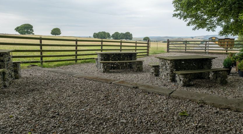 Photo of Gazing & Grazing