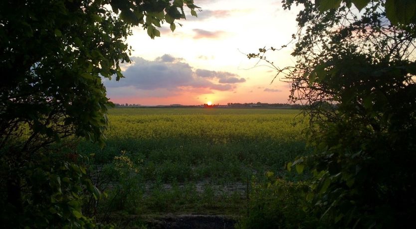 Photo of Away in the Country