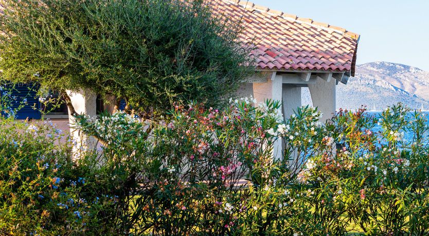 Photo of Paradise in Pittulongu