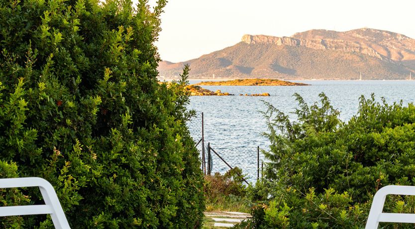 Photo of Paradise in Pittulongu