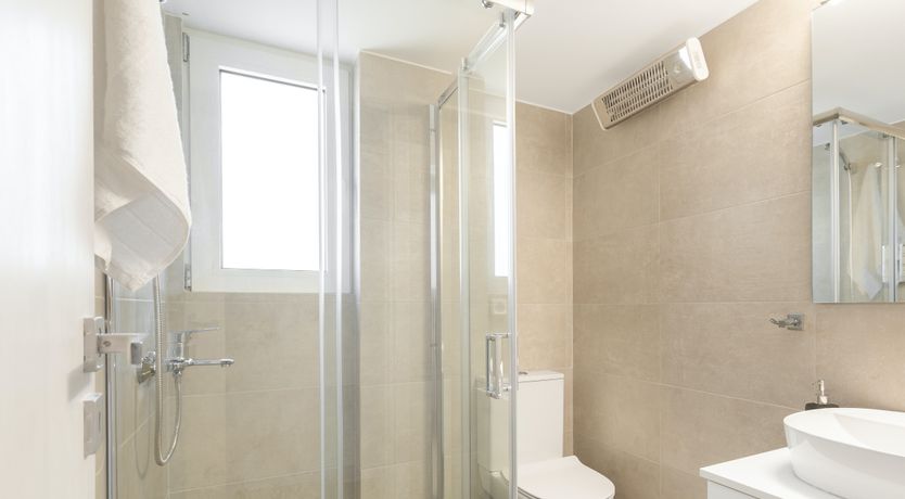 Photo of Above the Olive Trees