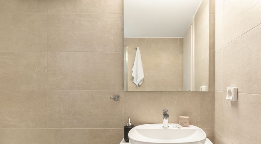 Photo of Above the Olive Trees