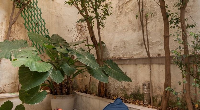 Photo of Caramel Aphrodite