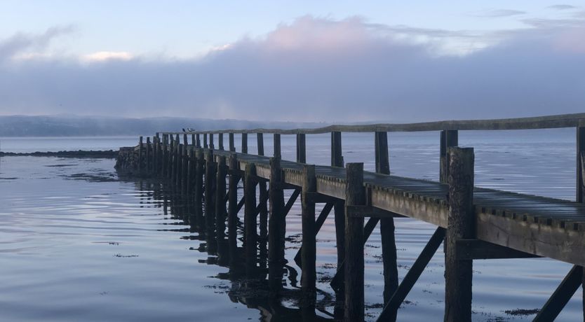 Photo of Wood Smoke & Whisky