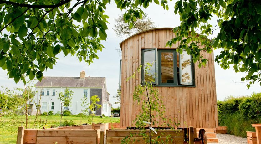 Photo of Shepherd of my Heart