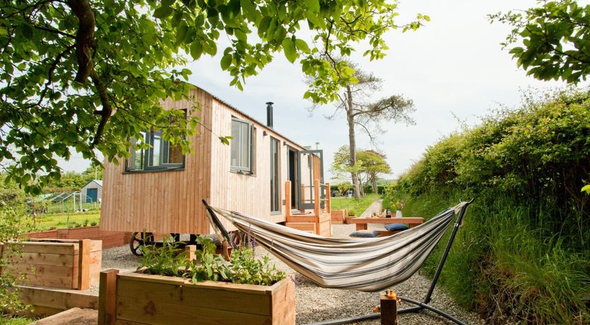 Photo of Shepherd of my Heart