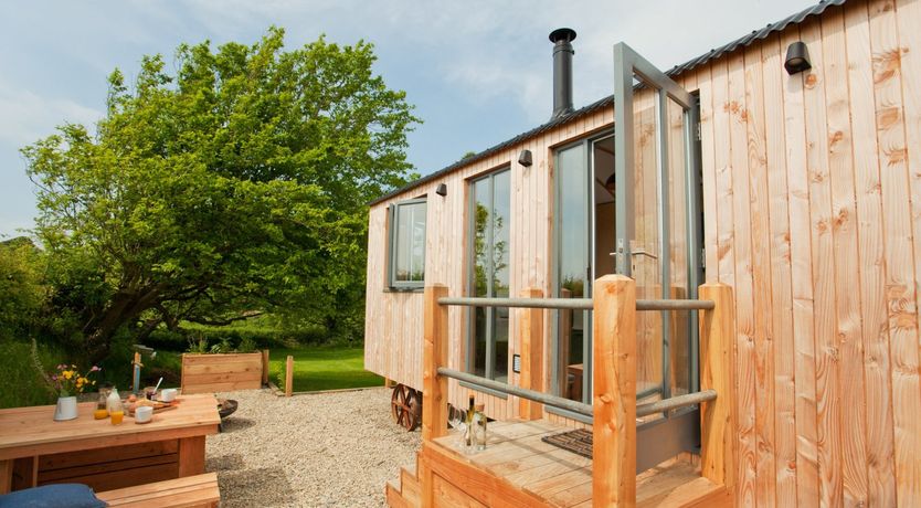 Photo of Shepherd of my Heart