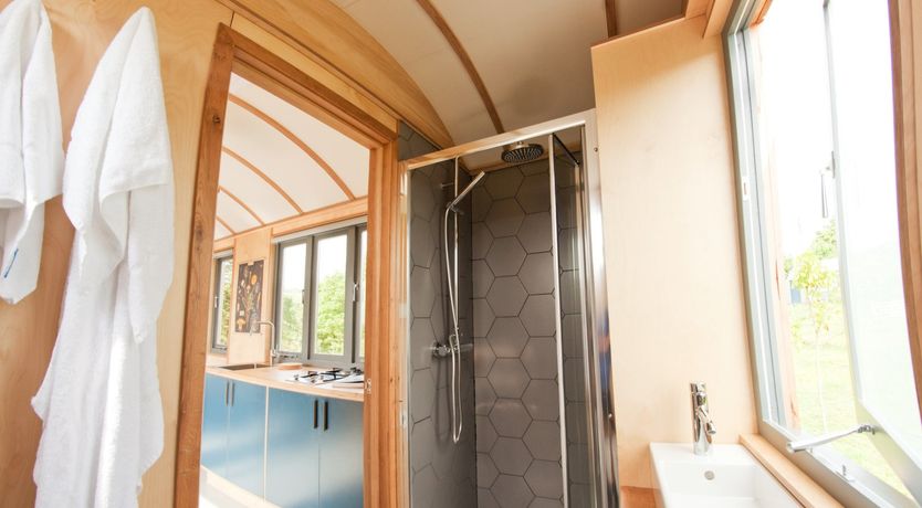 Photo of Shepherd of my Heart