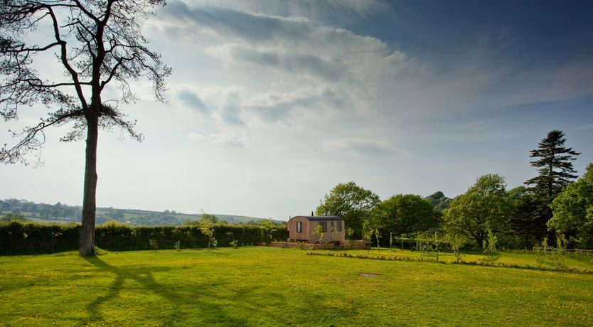 Photo of Shepherd of my Heart