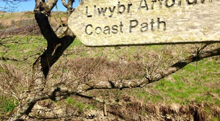 Photo of Shepherd of my Heart