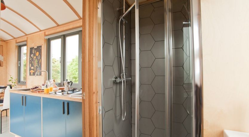 Photo of Shepherd of my Heart