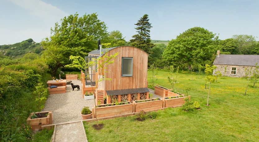 Photo of Shepherd of my Heart