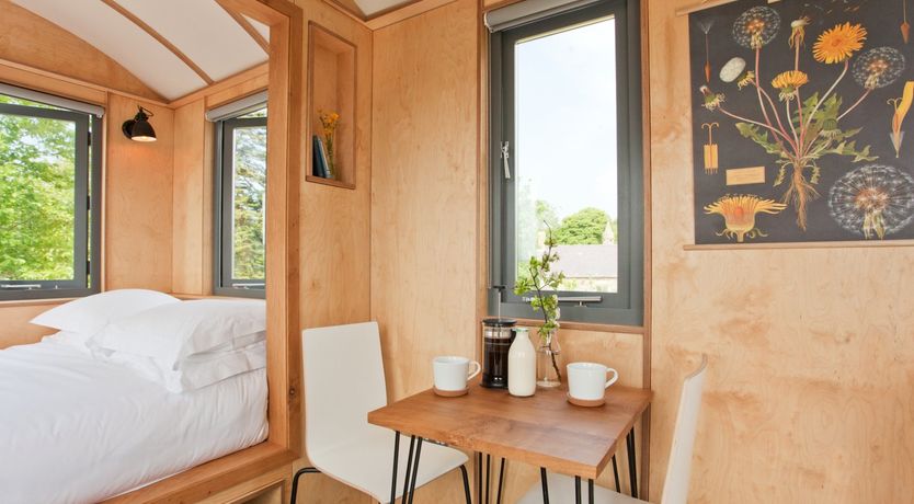 Photo of Shepherd of my Heart