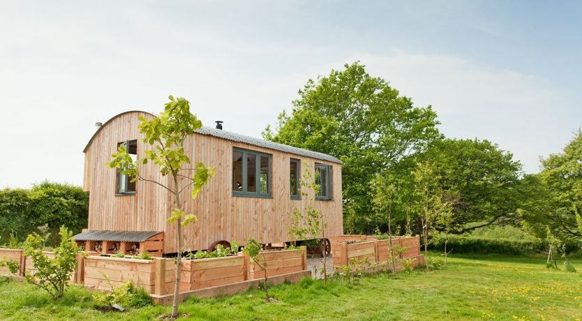 Photo of Shepherd of my Heart