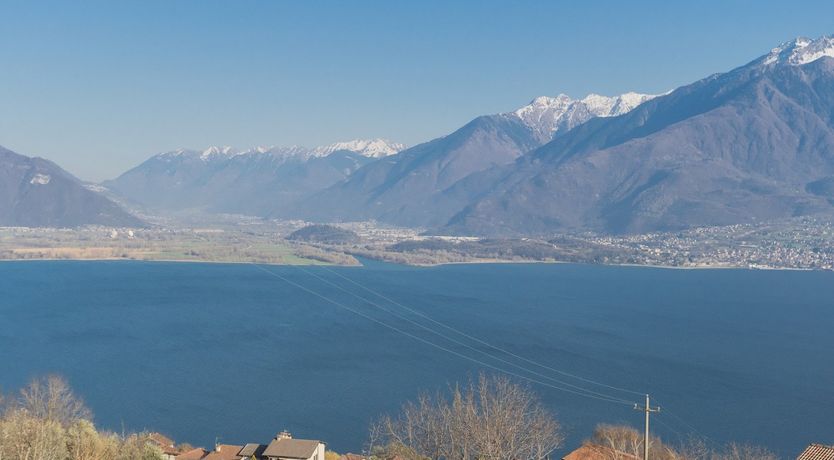 Photo of Pearl on the Lake