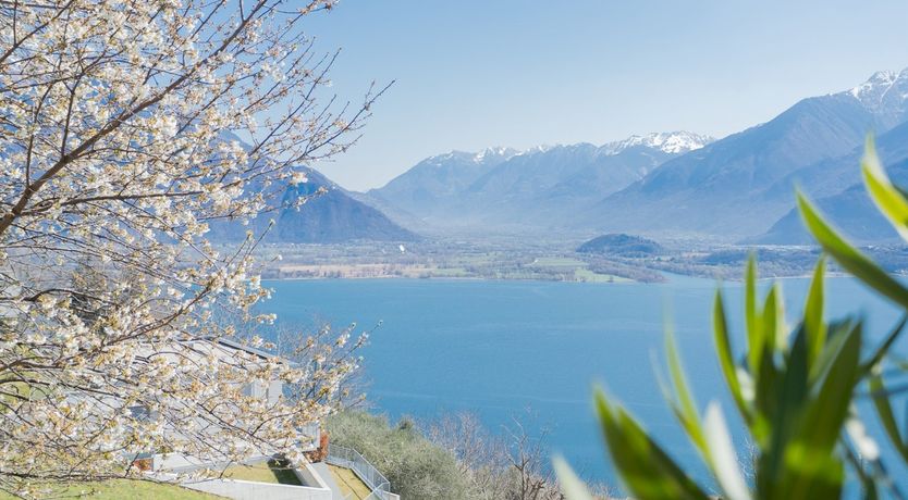 Photo of Pearl on the Lake