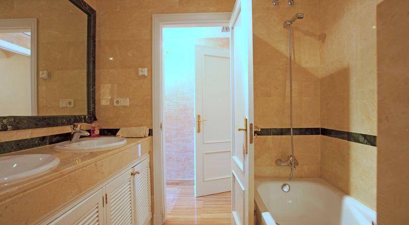 Photo of Saffron & Sea Daffodils