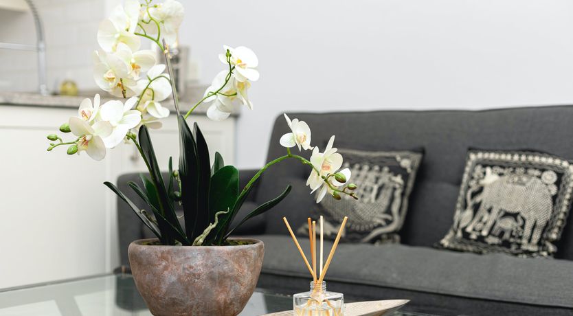 Photo of Anna & William