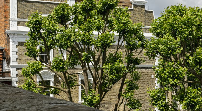 Photo of Anna & William