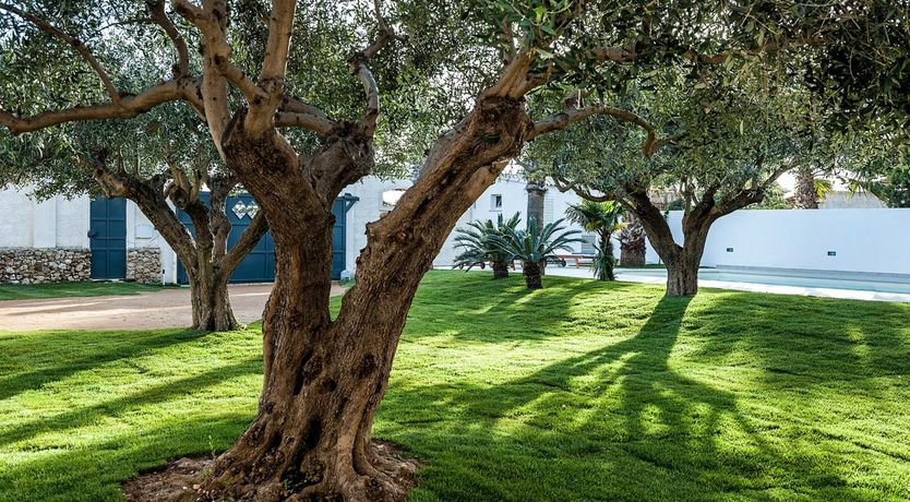 Photo of On the Wine Route