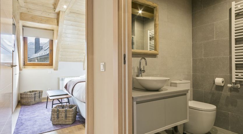 Photo of Forests & Streams