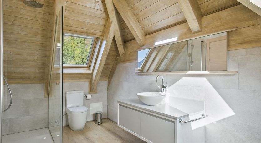 Photo of Forests & Streams