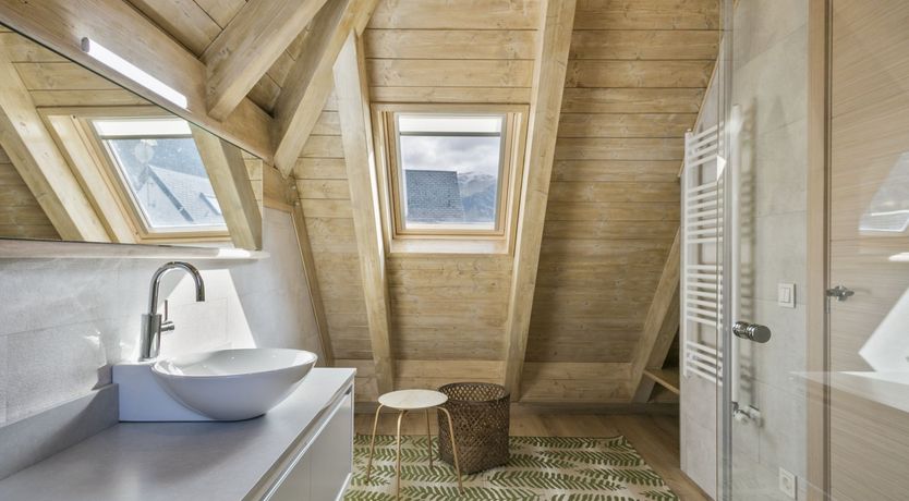 Photo of Forests & Streams