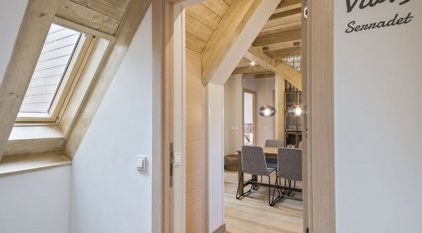 Photo of Forests & Streams