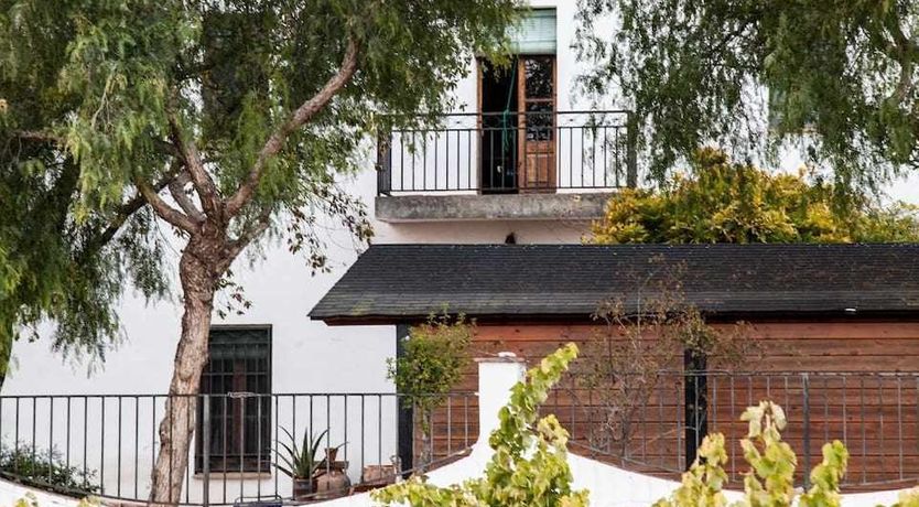 Photo of King of the Casa