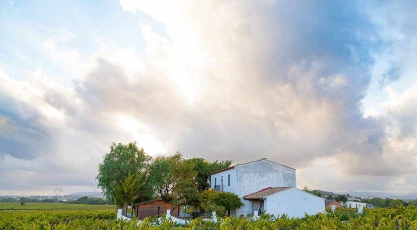 Photo of King of the Casa