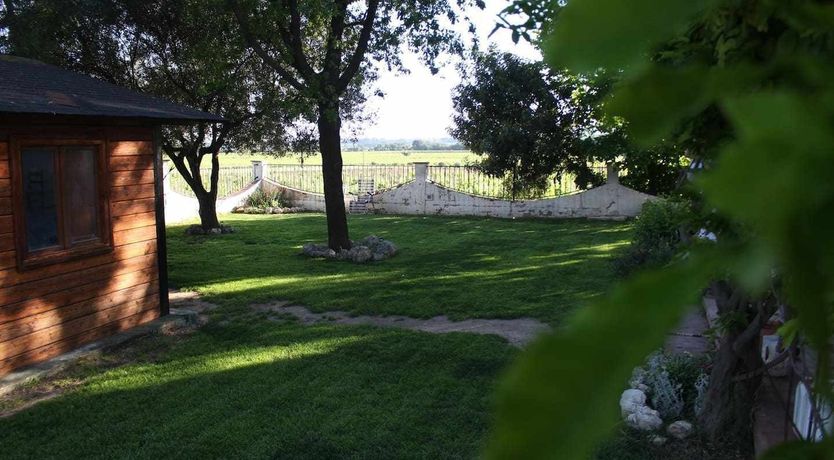 Photo of King of the Casa