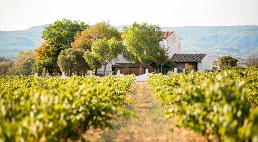 Photo of King of the Casa